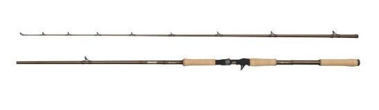 Abu Garcia Beast Pro Castingrute