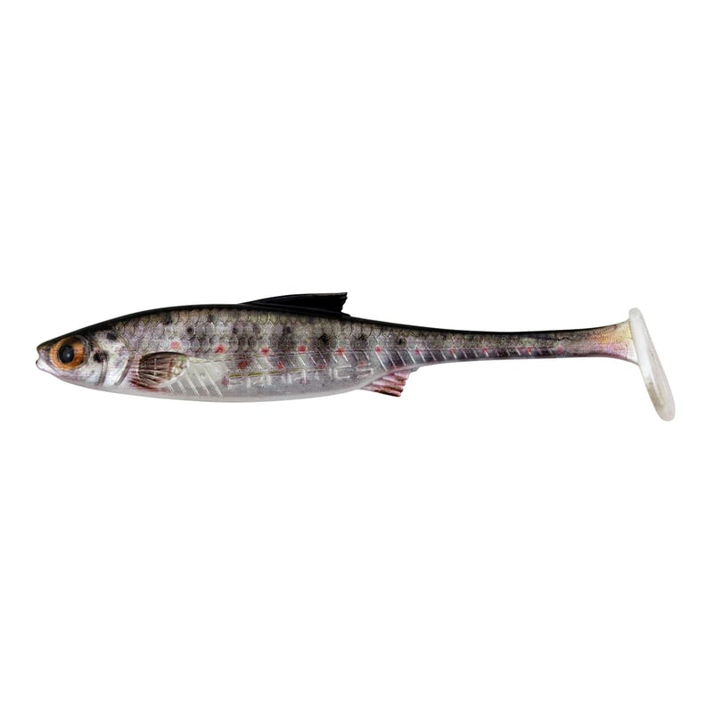 Stucki Fishing Real Rider Tellerschwanz