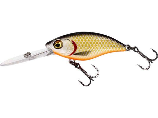Westin Buzzbite DR